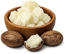 Sheabutter (Butyrospermum parkii) — reichhaltige Pflege in {{OFFER_NAME}}